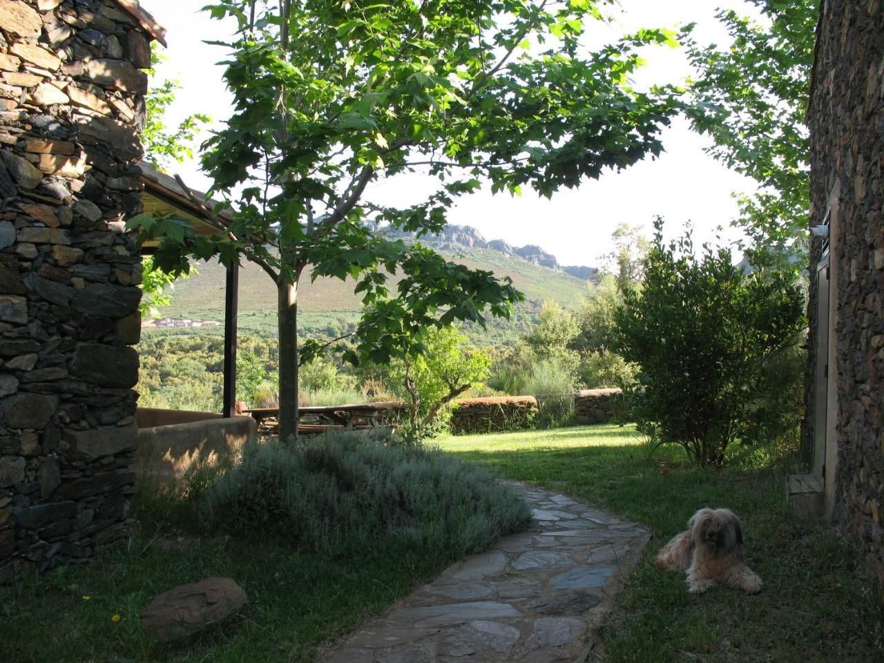 הוילה Valencia de Alcántara Quinta De Luna מראה חיצוני תמונה