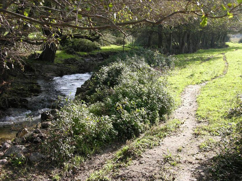 הוילה Valencia de Alcántara Quinta De Luna מראה חיצוני תמונה